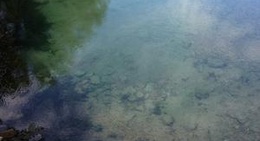 obrázek - Big Spring Park Cotter Ar