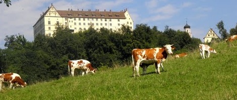 obrázek - Heiligenberg