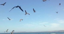 obrázek - La Manzanilla