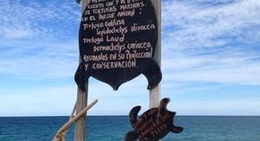 obrázek - Cabo Pulmo