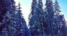 obrázek - Salaš Orava