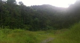 obrázek - 南山森林公园