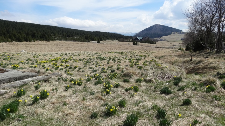 Chata/apartman Beldová - Jizerka
