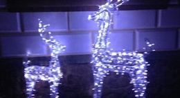 obrázek - Сосновый Бор