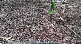 obrázek - Ipswich Nature Centre