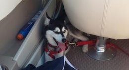 obrázek - Port Sandfield Marina