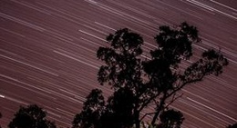 obrázek - berry farm rosa brook