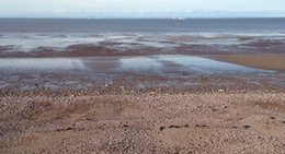 obrázek - Blue Anchor Beach