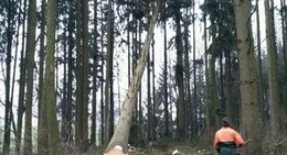 obrázek - Im Unternhuber Hoiz