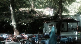 obrázek - caffe camilloni