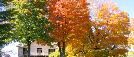 obrázek - West Jefferson