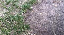 obrázek - Spielplatz AHORN Seehotel