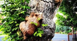 obrázek - Café Galleria