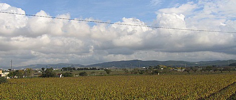 obrázek - Vilafranca del Penedès
