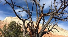 obrázek - kodachrome basin state park (Kodachrome Basin State Park)