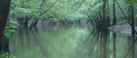 obrázek - Jefferson