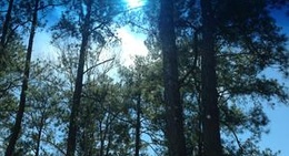 obrázek - City Of Deridder