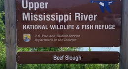 obrázek - Upper Mississippi River National Wildlife & Fish Refuge
