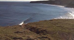 obrázek - Nose's Point Car Park and Viewpoint