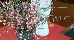 obrázek - Pálenica