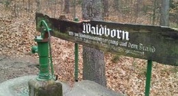 obrázek - Waldborn