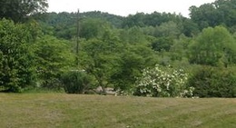 obrázek - Prestonburg