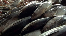 obrázek - Pasar Bukit Payung