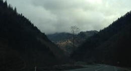 obrázek - Kabatas Koyu ( Fotinos )