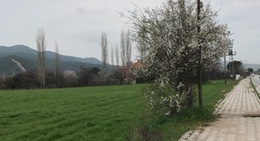 obrázek - Ula Yürüyüş ve Koşu Yolu