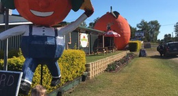 obrázek - Big Orange