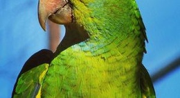 obrázek - Collie River Valley Tourist Park