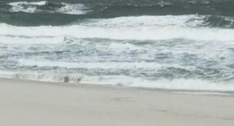 obrázek - Surf City, LBI