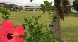 obrázek - 石垣漁港ハーリー広場