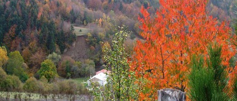 obrázek - Dereceören