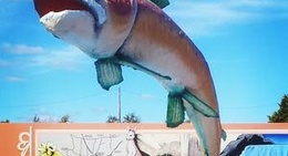 obrázek - The Big Trout