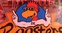 obrázek - Rooster's