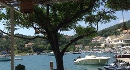 obrázek - Eucalyptus