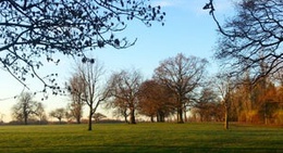 obrázek - Braunstone Park