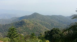 obrázek - นิคมฯ ดอยเชียงดาว