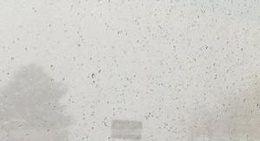 obrázek - Los Alamos, NM