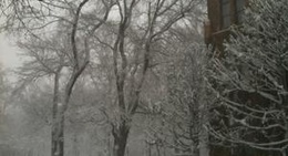 obrázek - Hokkaido University Museum (北海道大学総合博物館)