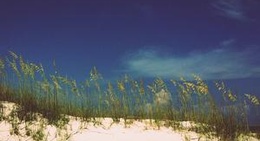 obrázek - Gulf Islands National Seashore