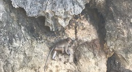 obrázek - Krabi City Cave