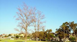 obrázek - Jeff Joseph Reserve