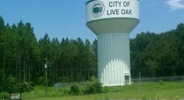 obrázek - Live Oak, FL