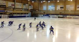 obrázek - Dina Arena