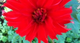 obrázek - Town of View Royal