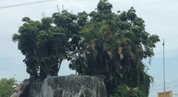 obrázek - Ciudad Obregón