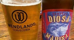 obrázek - Wendlandt Sauzal