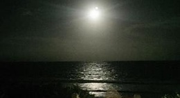 obrázek - Bahamas Coffee Roaster ,Harbour Island